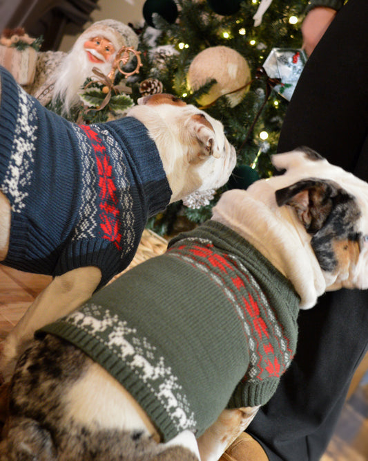 Sweater navideño mascota